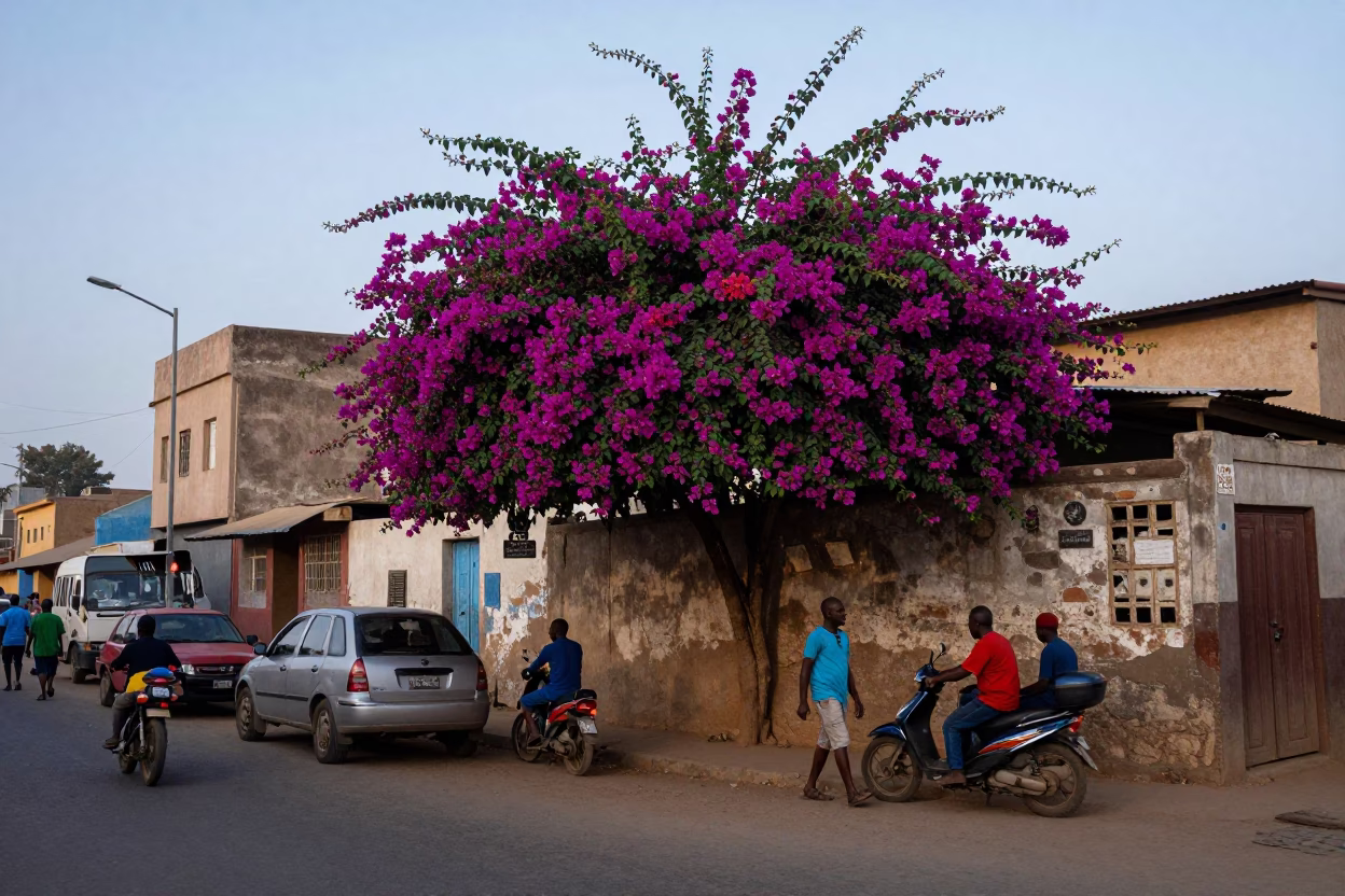 Busy Dakar Street Scene at Nautical Dawn with Colorful Bougainvillea and Local Commerce in in Dakar, Senegal