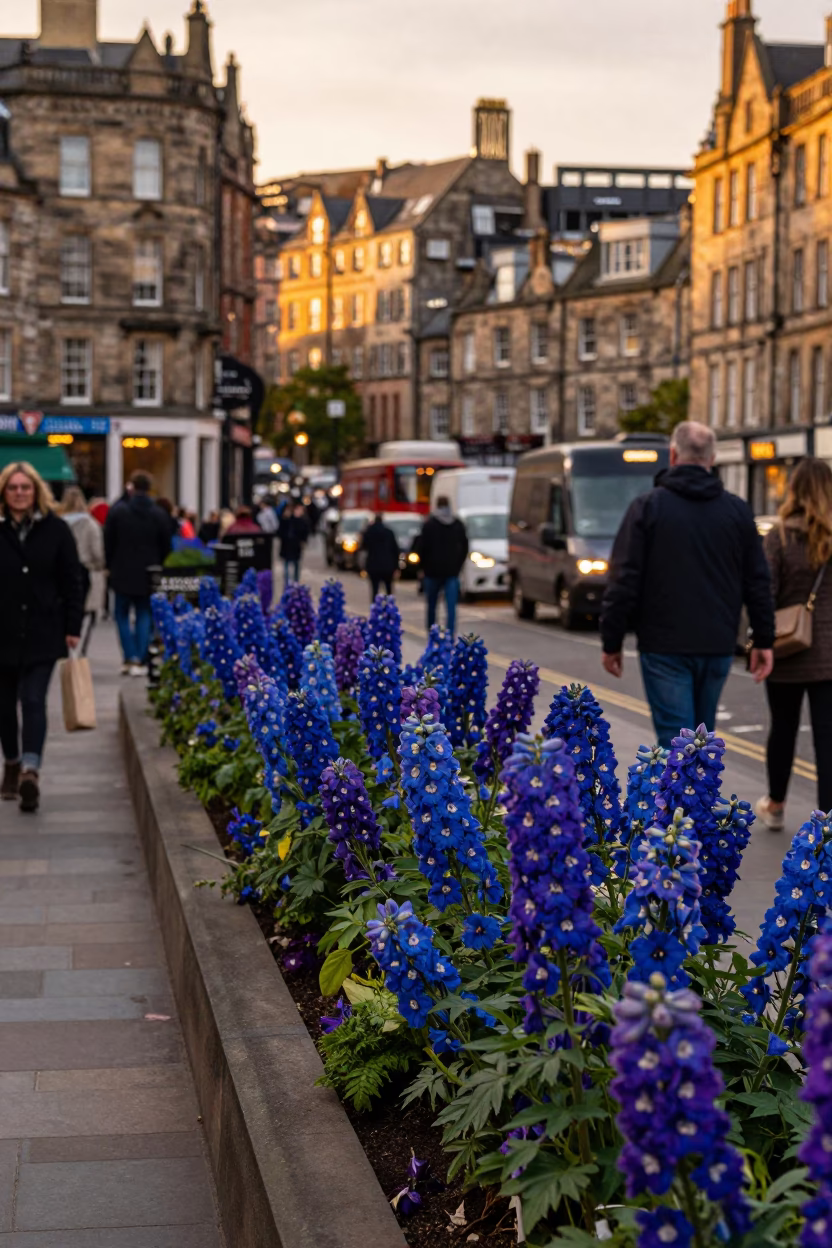Busy Edinburgh Evening Street Scene with Delphinium Border and Railway Viaduct in in Edinburgh, United Kingdom