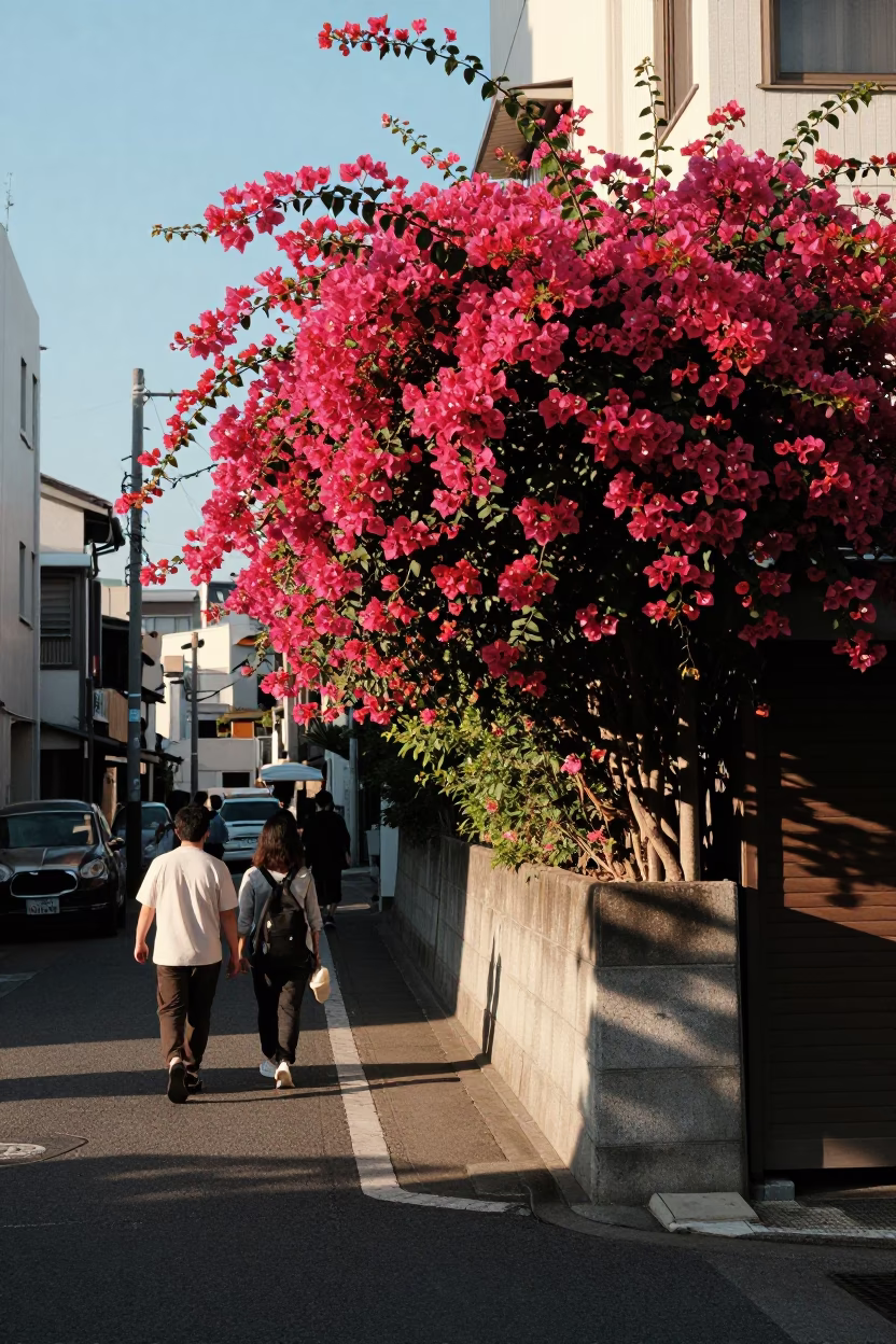 Busy Fukuoka Street Corner with Bougainvillea and Sunlight in Late Afternoon in in Fukuoka, Japan