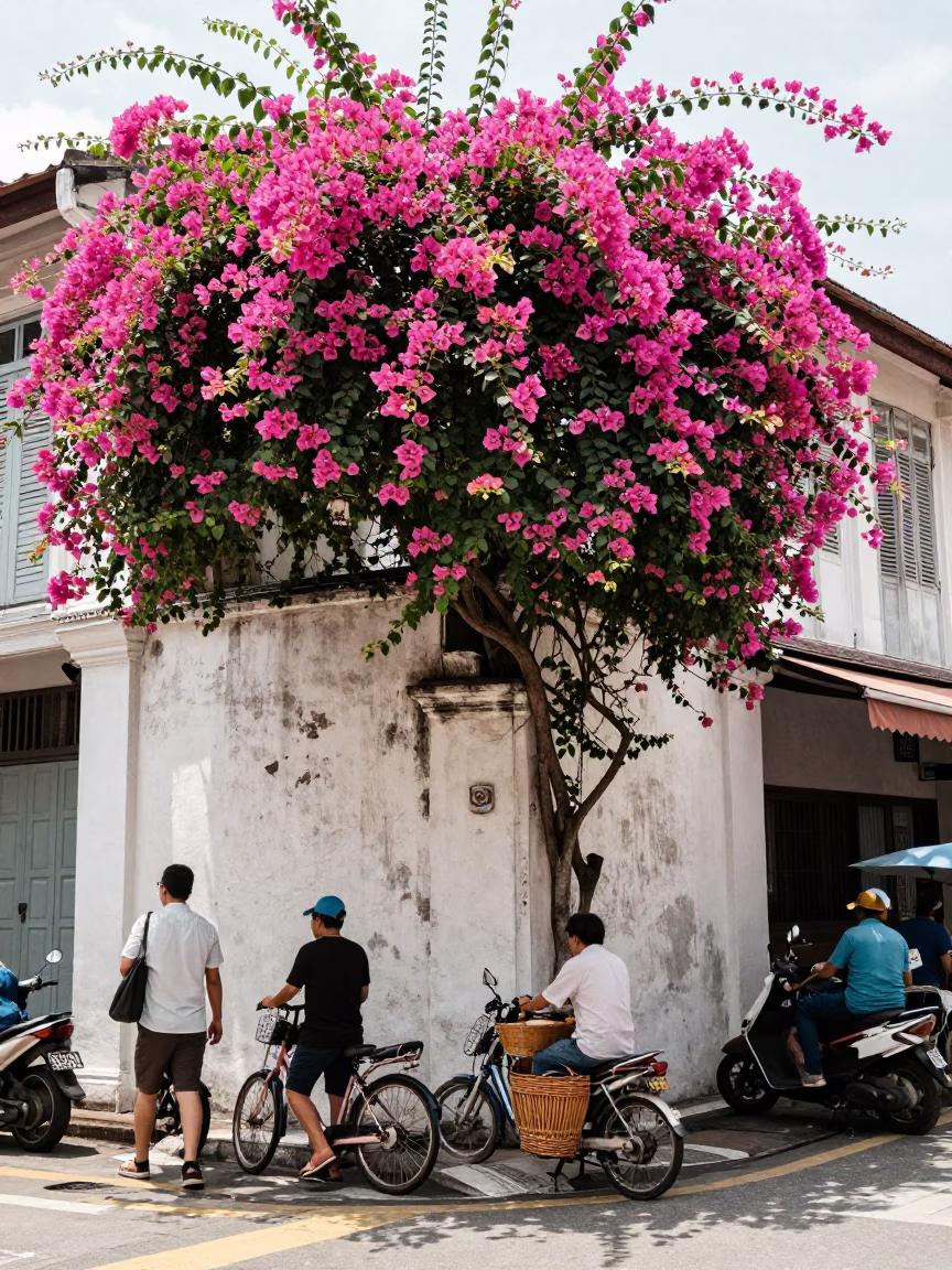 Busy George Town Street Scene with Bougainvillea and Wicker Basket in Midmorning Light in in George Town, Malaysia