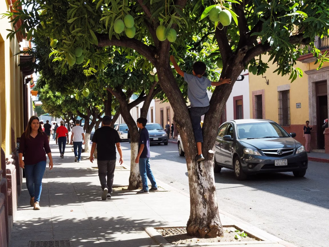 Busy Guadalajara Street Scene Midday with Mango Tree and Local Life in in Guadalajara, Mexico