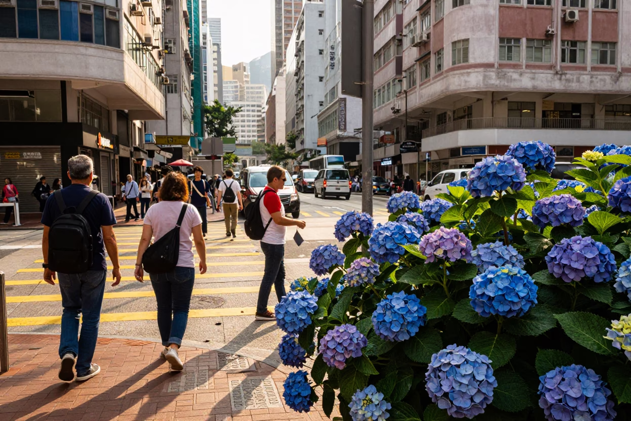Busy Hong Kong Late Afternoon Street Scene with Hydrangea Bush and Fingerprinted Rail in in Hong Kong, Hong Kong