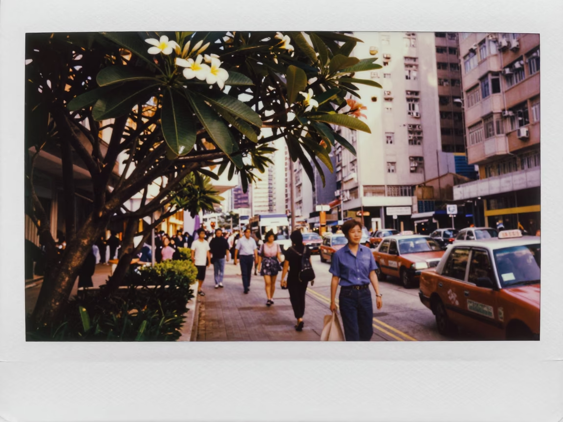 Busy Hong Kong Street Scene in Honeyed Evening Light with Frangipani Tree in in Hong Kong, Hong Kong
