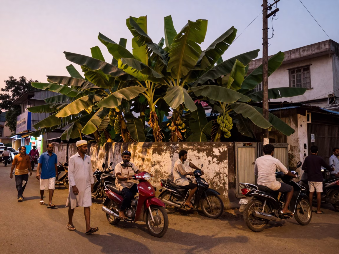 Busy Hyderabad Evening Street Scene with Banana Plantation and Water Tower in in Hyderabad, India