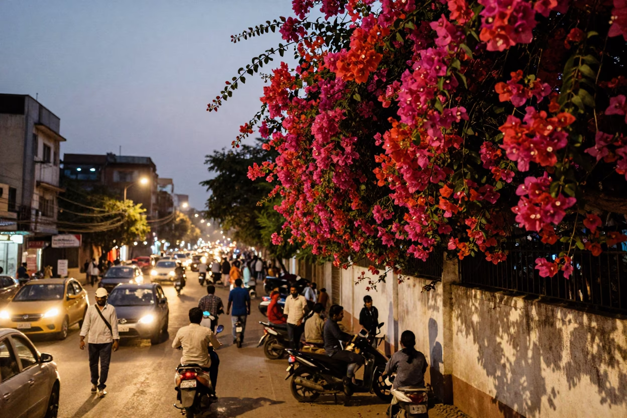 Busy Hyderabad Street Scene at Dusk with Bougainvillea and Motorcycles in in Hyderabad, India