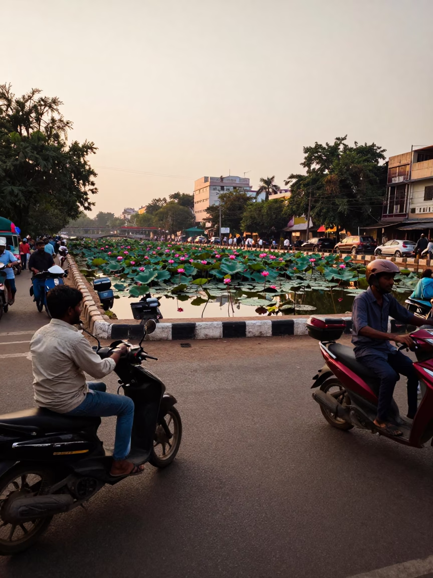 Busy Hyderabad Street Scene Late Afternoon with Lotus Pond and Camellia Flowers in in Hyderabad, India