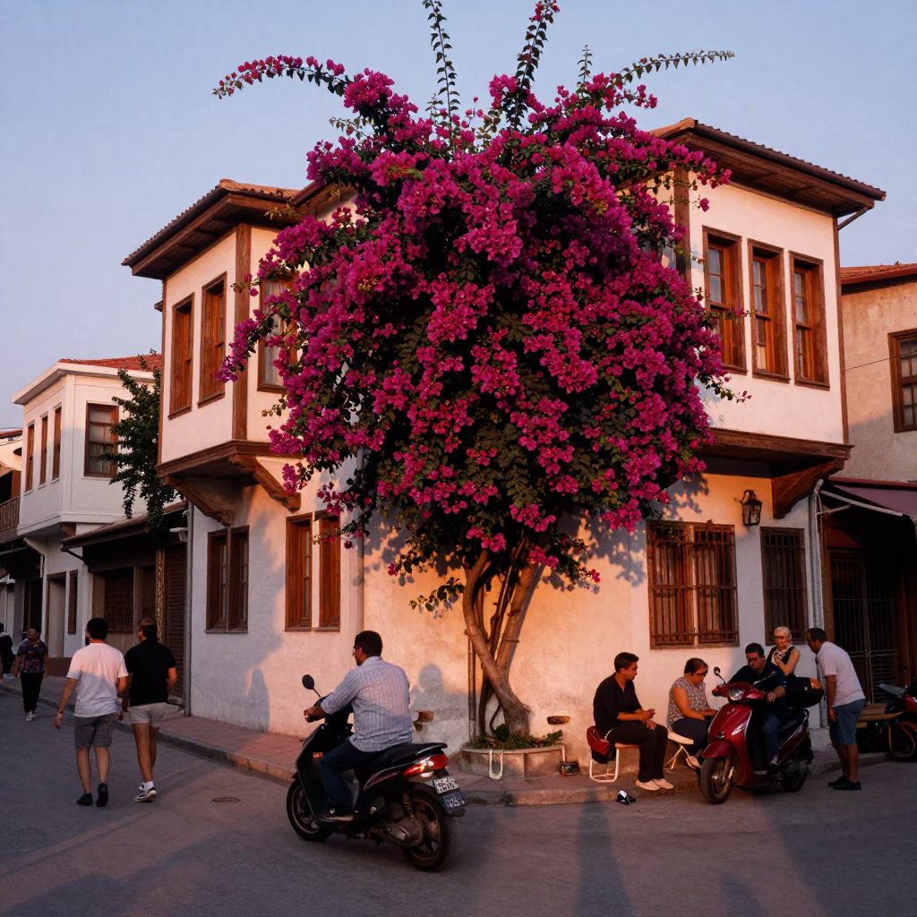 Busy Izmir Street Scene with Bougainvillea and Vintage 1980s Commerce in Copper Dusk Light in in Izmir, Turkey