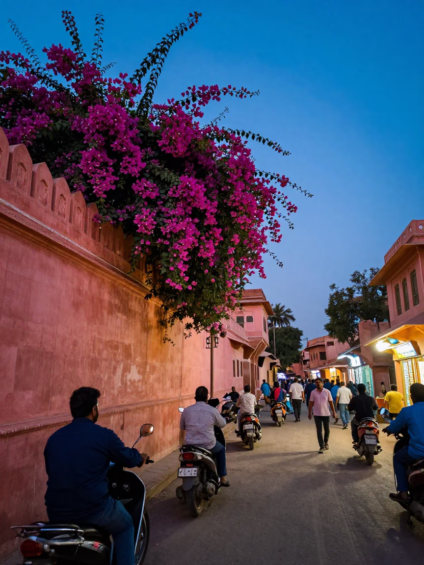 Busy Jaipur Street Scene at Blue Hour with Bougainvillea and Traditional Architecture in in Jaipur, India