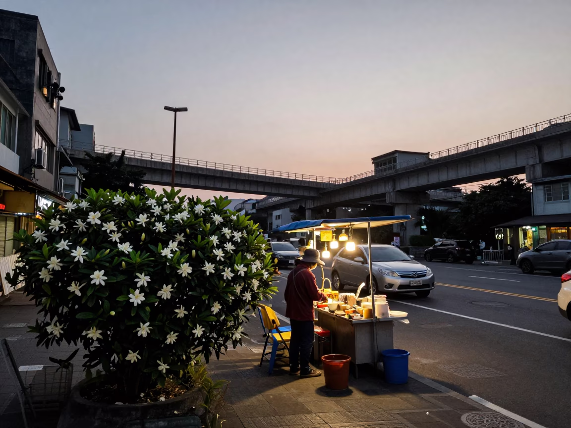 Busy Kaohsiung Street Scene at Dawn with Gardenia Bush and Urban Life in in Kaohsiung, Taiwan