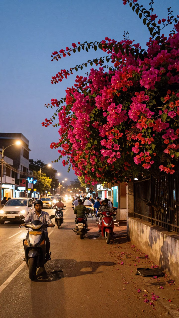 Busy Kochi Street Scene at Dusk with Bougainvillea and City Lights in in Kochi, India
