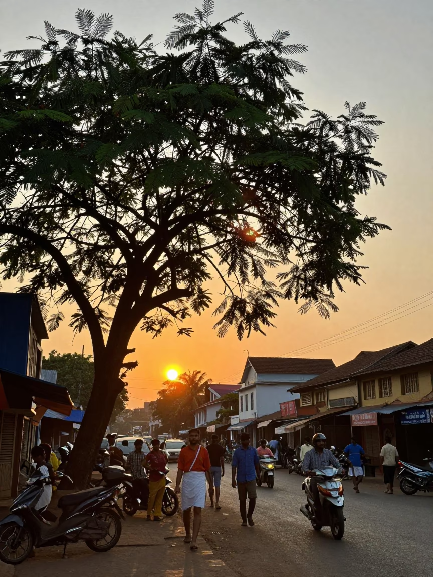 Busy Kochi Street Scene at Sunset with Tamarind Tree and Local Market Activity in in Kochi, India