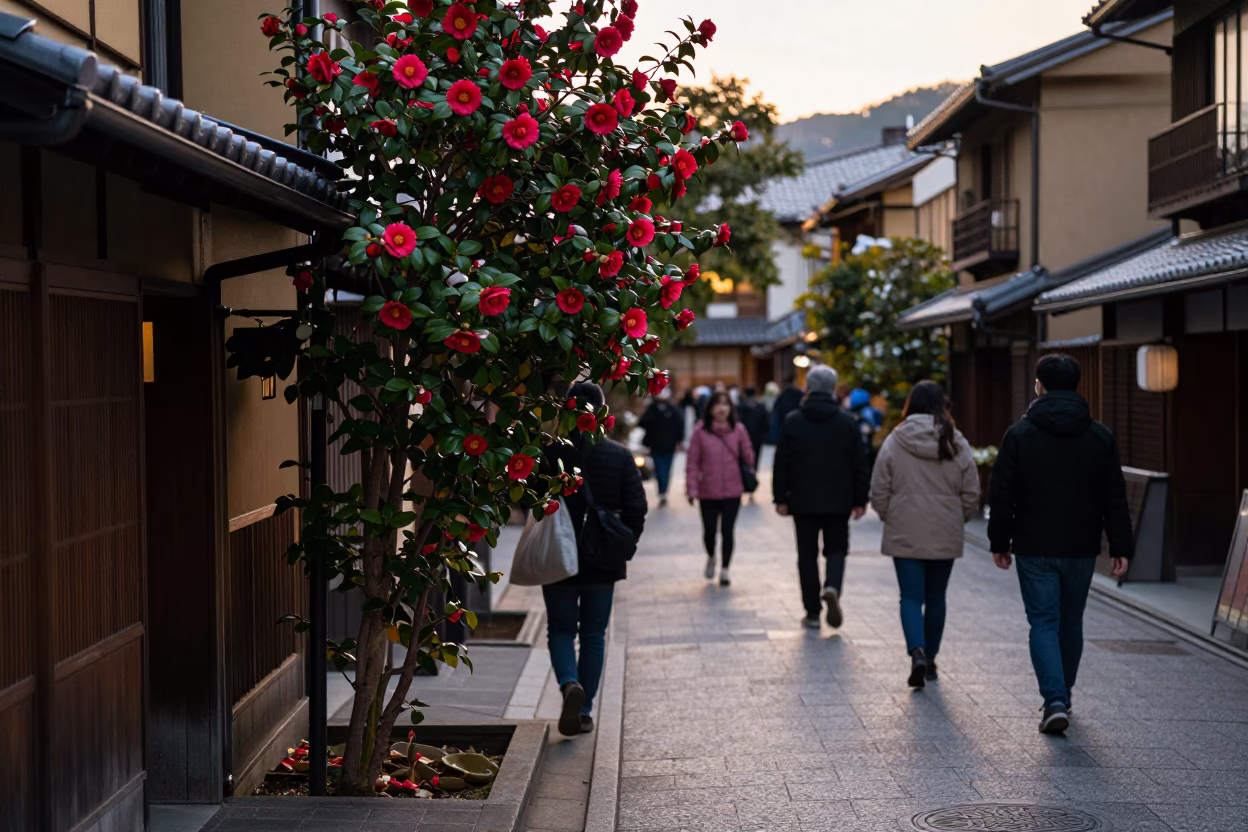 Busy Kyoto Evening Street Scene with Camellia Flowers and Urban Life in in Kyoto, Japan