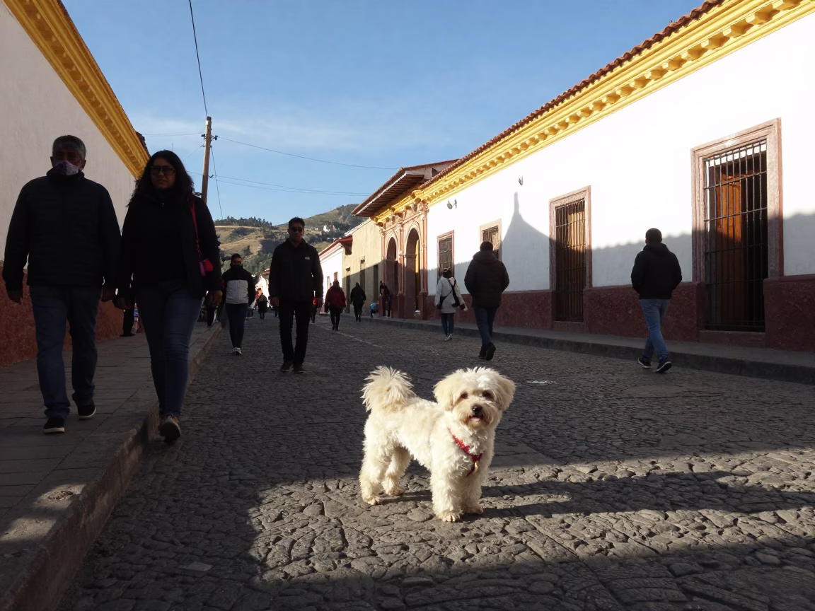 Busy La Paz Bolivia Street Scene Late Afternoon Light with Volpino Italiano Dog in in La Paz, Bolivia