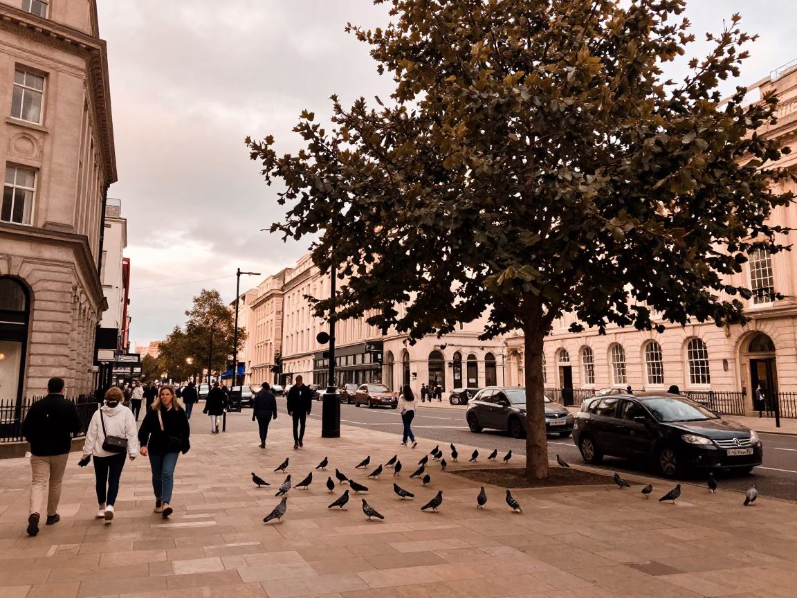 Busy Liverpool Street Scene with Pigeons and Tree in Copper Toned Light Before Dusk in in Liverpool, United Kingdom