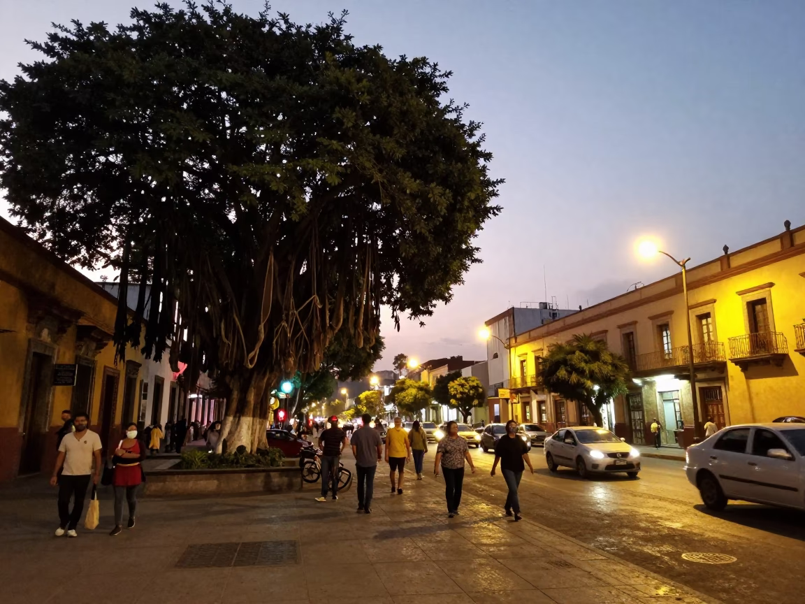 Busy Mexico City Street Scene at Dusk with Strangler Fig and Urban Life in in Mexico City, Mexico