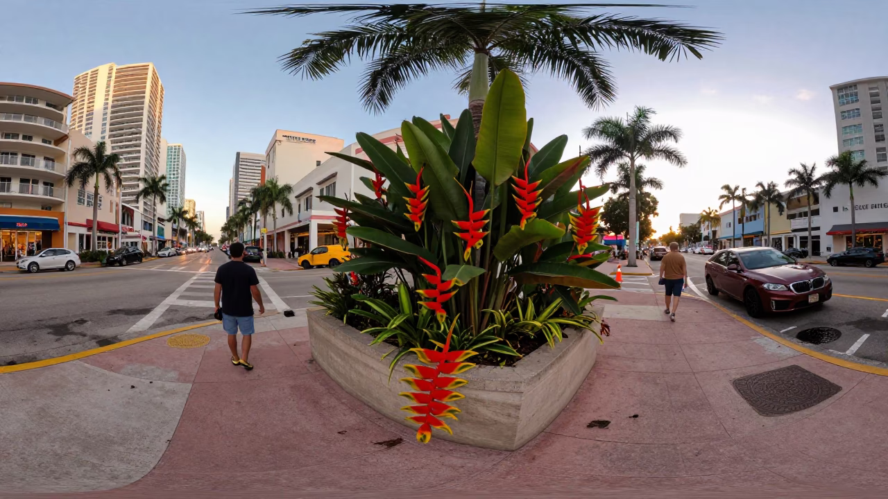 Busy Miami Street Corner Evening Heliconia and Tropical Vibe in in Miami, Florida, United States