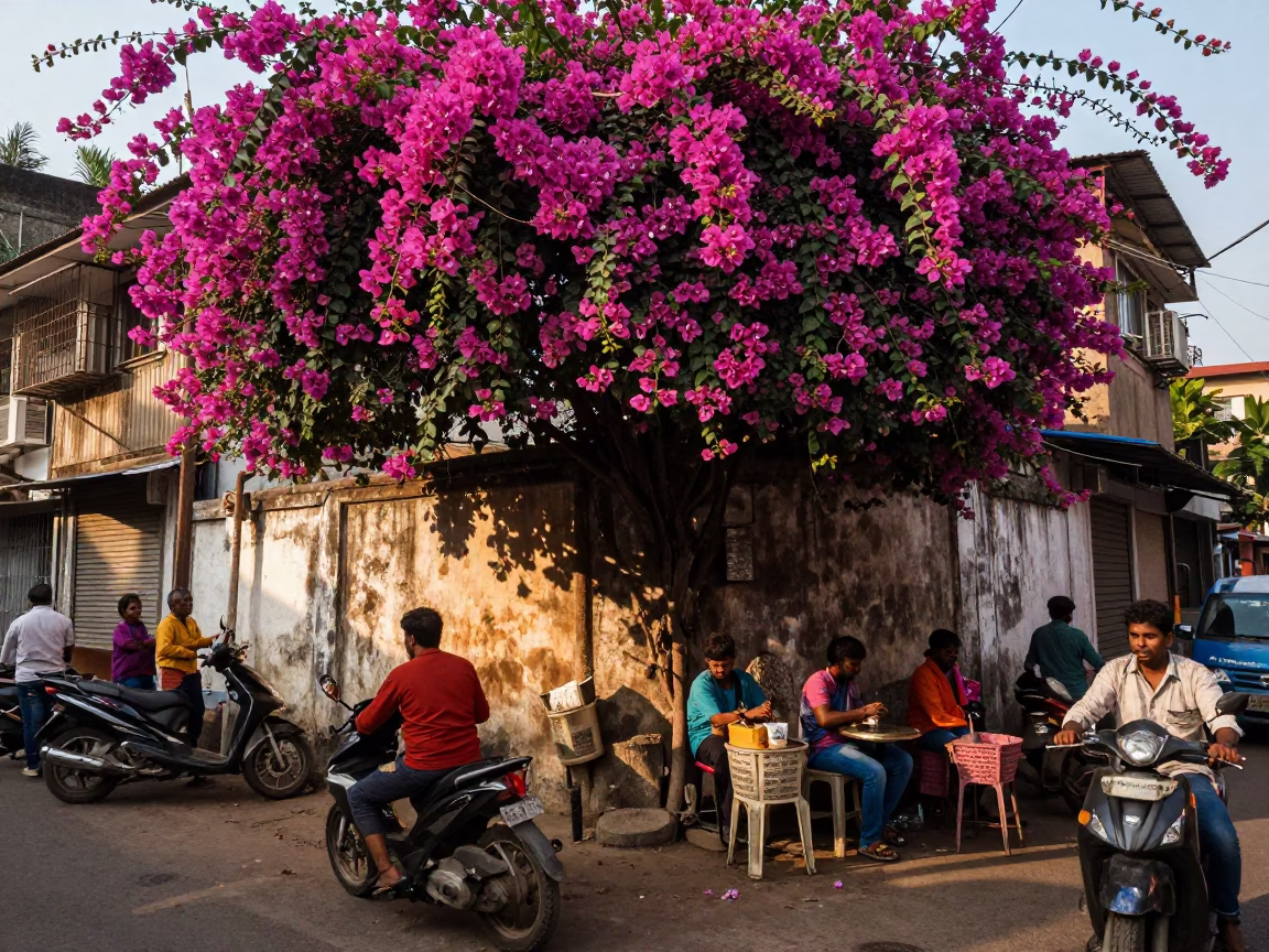 Busy Mumbai Street Corner Late Afternoon Bougainvillea and Tea Kettles in in Mumbai, India