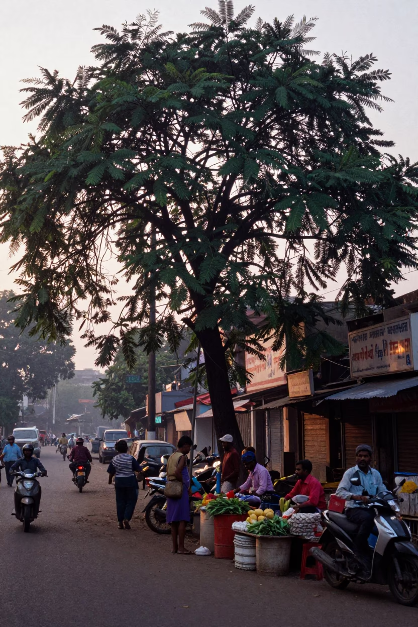 Busy Mumbai street scene at dawn with tamarind tree and local vendor in in Mumbai, India