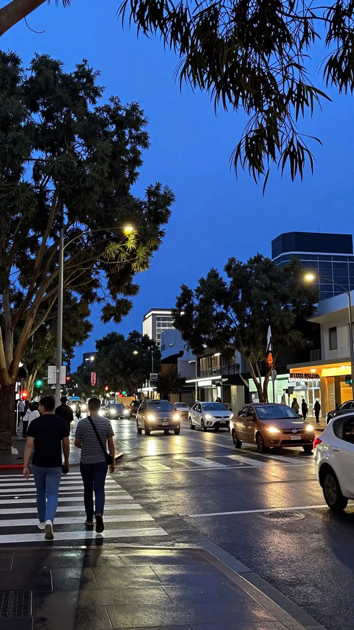 Busy Perth Street Scene at Blue Hour with Eucalyptus and Urban Details in in Perth, Western Australia, Australia