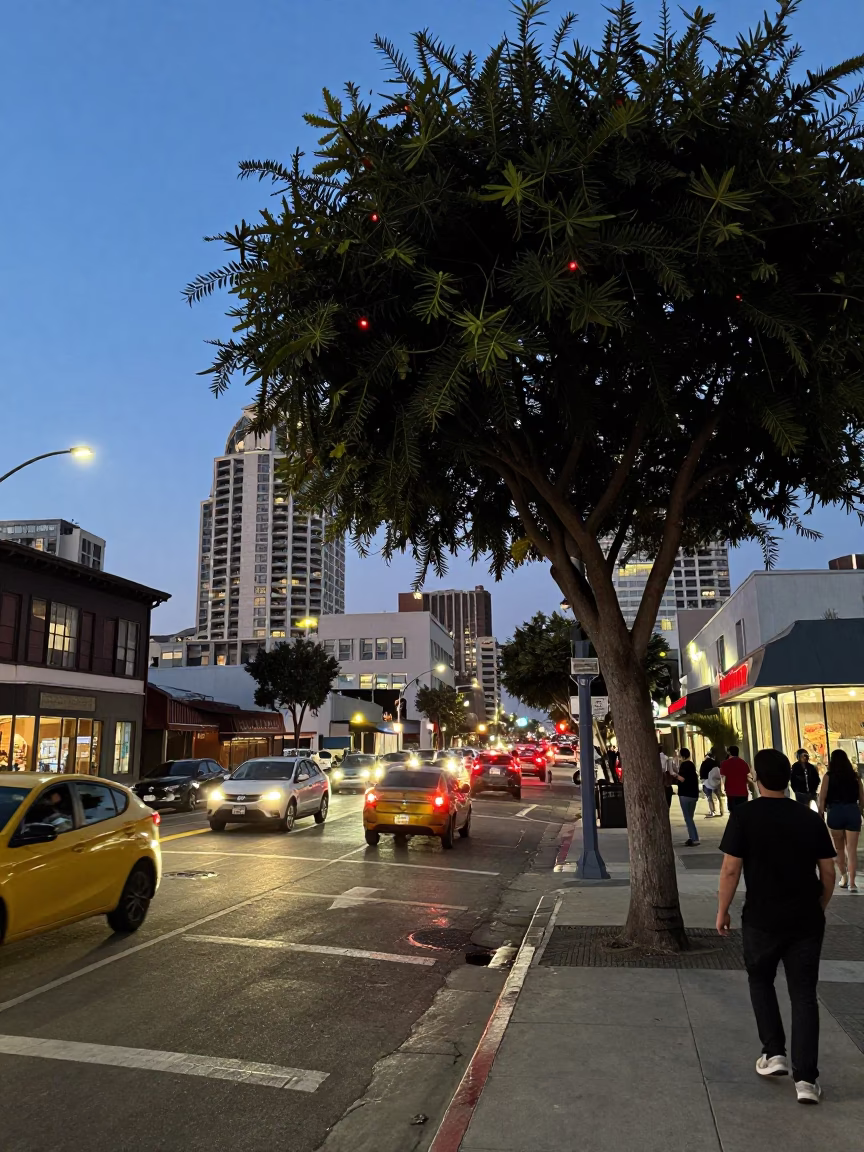 Busy San Diego Street Scene at Dusk with Tamarind Tree and Vintage Cars in in San Diego, California, United States