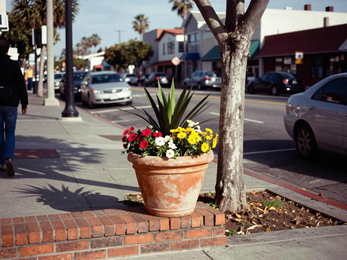 Busy San Diego Street Scene with Flowerpot and Tree at Winter Noon in in San Diego, California, United States