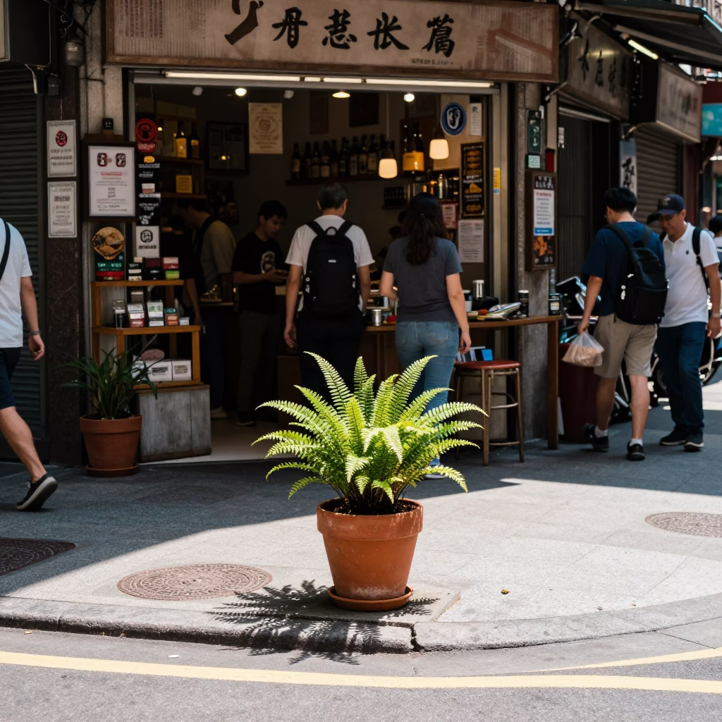 Busy Taipei Street Corner with Plant Pot and Urban Life in Bright Midmorning Light in in Taipei, Taiwan