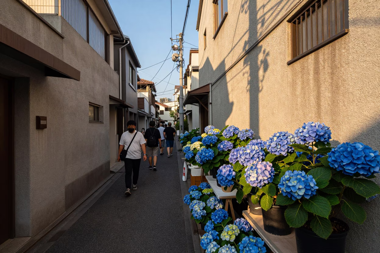 Busy Tokyo Alleyway Late Afternoon Light with Hydrangeas and Street Life in in Tokyo, Japan