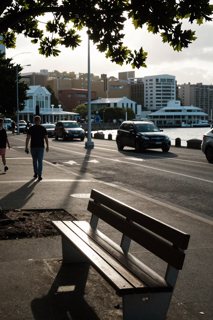 Busy Wellington Street Corner Late Afternoon with Leaf Shadows and Urban Life in in Wellington, New Zealand