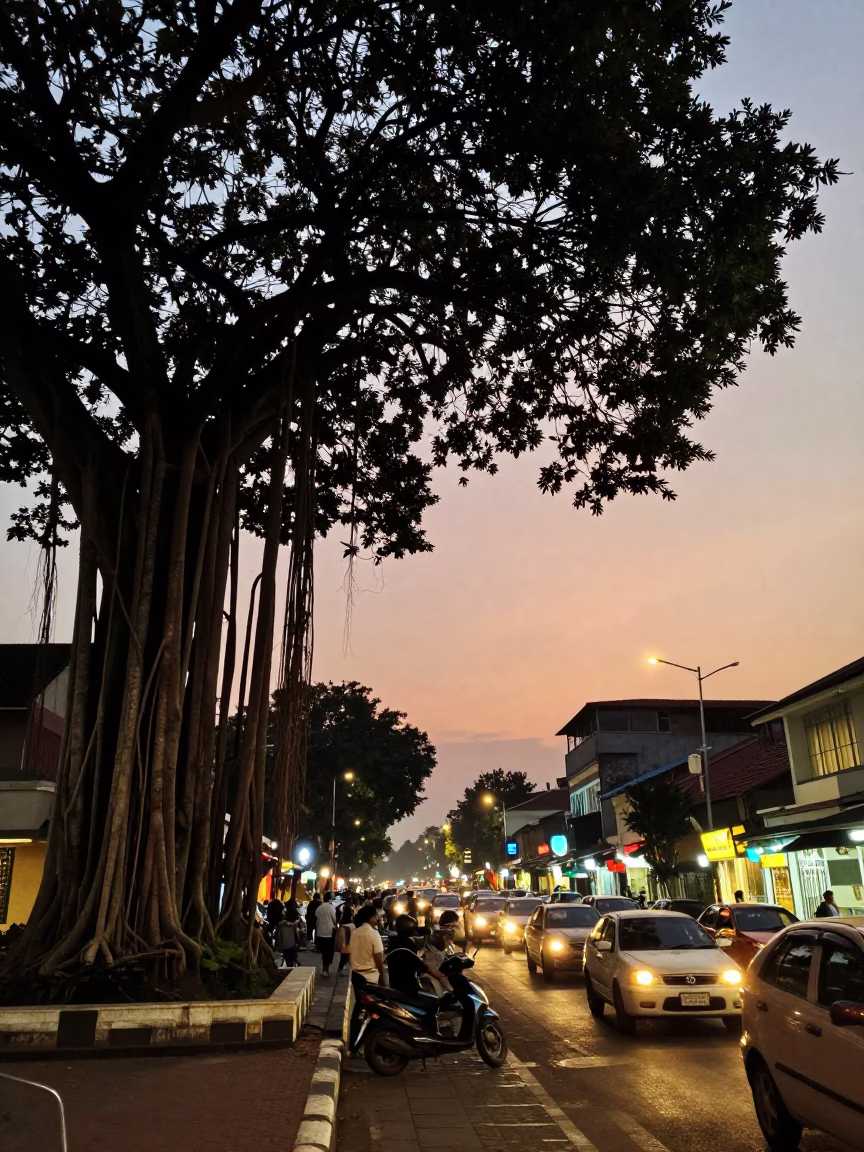 Busy Yogyakarta Street Scene at Dusk with Banyan Tree and Local Market Activity in in Yogyakarta, Indonesia