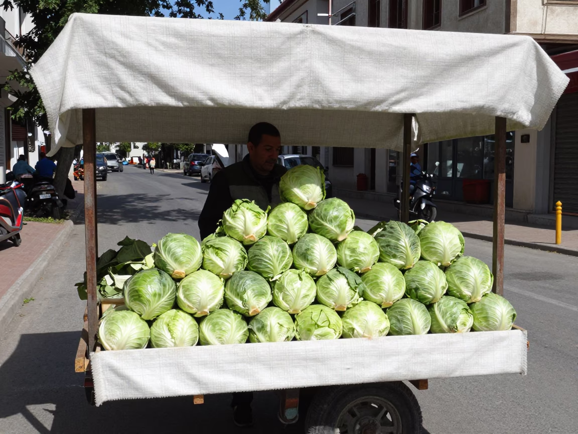 Cabbage Display in Izmir in in Izmir, Turkey