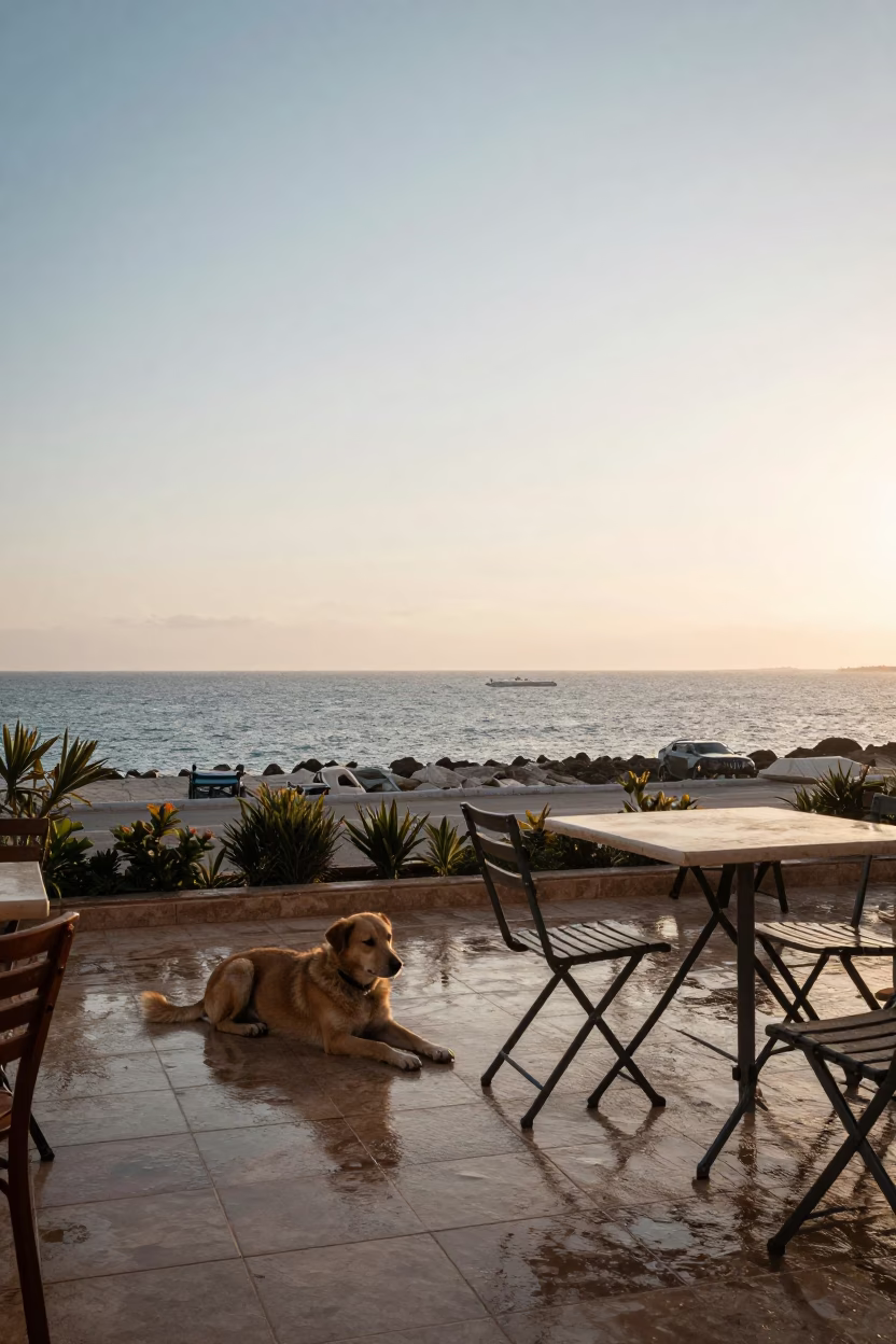 Café Terrace in Alexandria in in Alexandria, Egypt