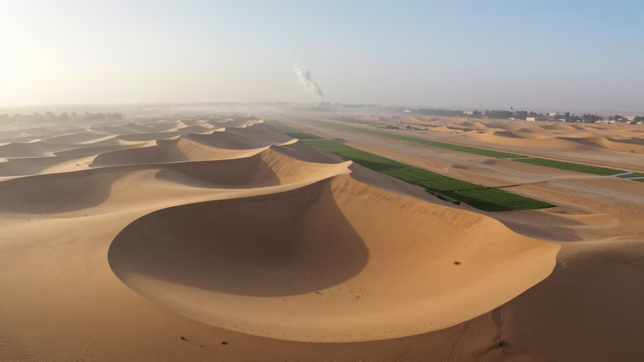 Cairo Dunes Mist Dawn Aerial Irrigation in high above irrigation geometry near Cairo