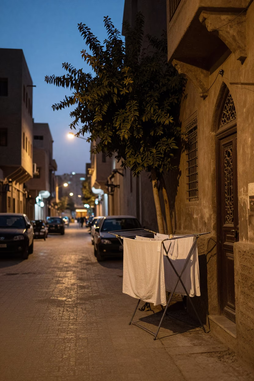 Cairo Egypt Evening Street Scene with Drying Rack and Tree at Dusk in in Cairo, Egypt