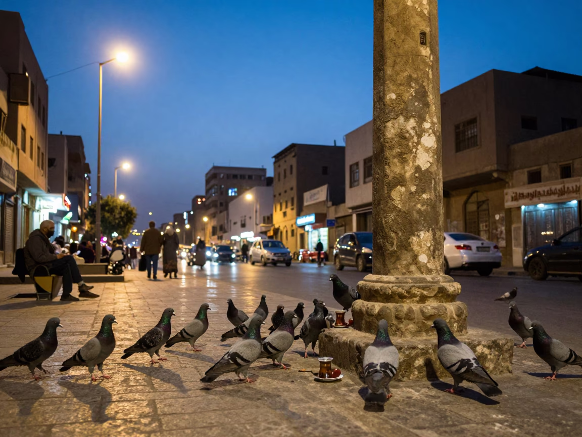 Cairo Egypt Evening Street Scene with Pigeons and Traditional Tea Cup Near Historic Mosque in in Cairo, Egypt
