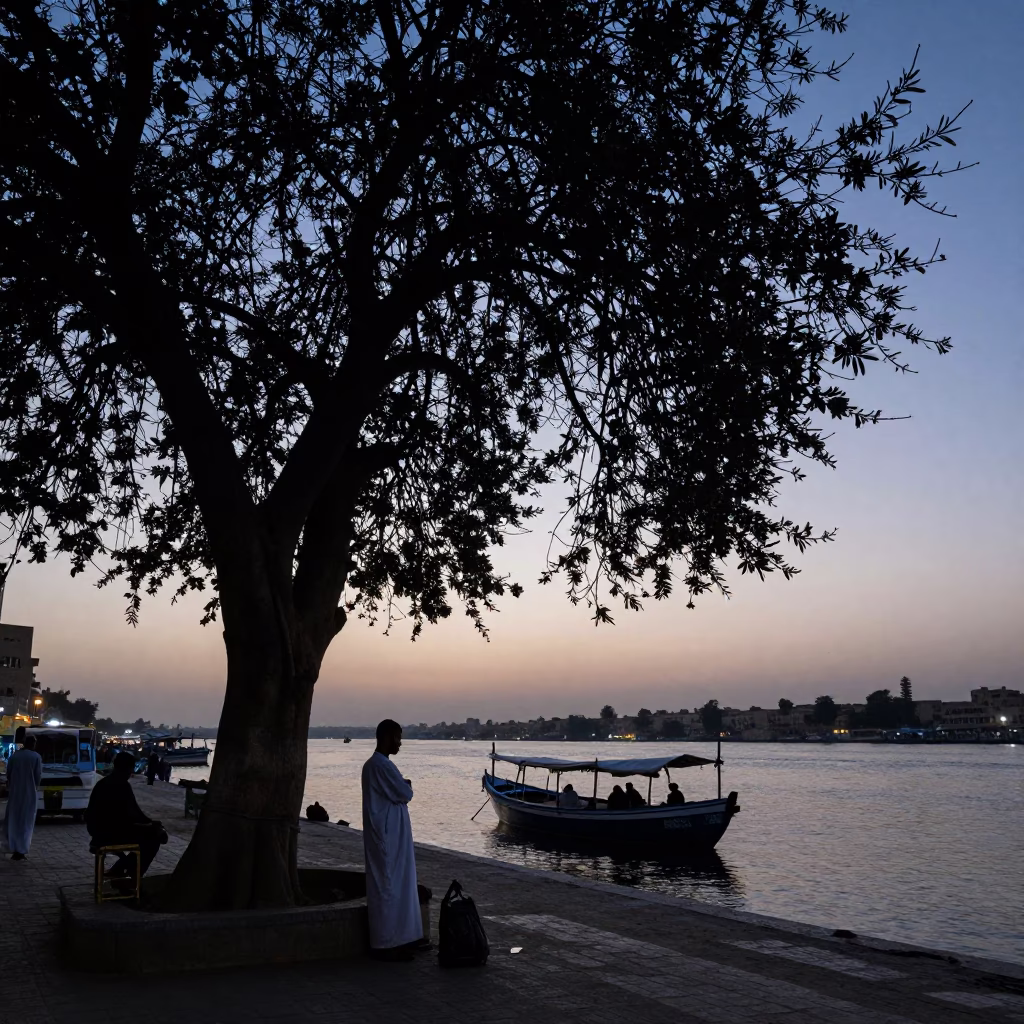 Cairo Egypt Nautical Dawn Street Barber Under Tree Silhouetted Dhow Nile River in in Cairo, Egypt