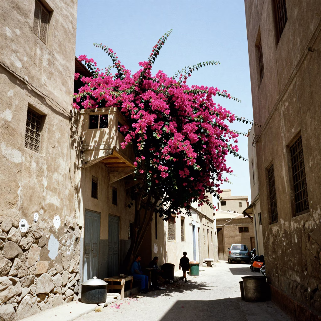 Cairo Egypt Noon Street Scene with Bougainvillea and Cooking Pot in in Cairo, Egypt