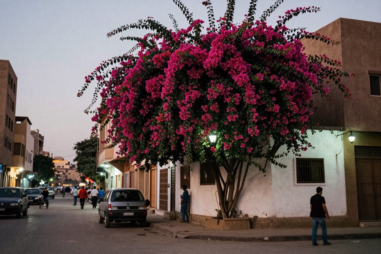 Cairo Egypt street scene at dusk with bougainvillea and local activity in in Cairo, Egypt