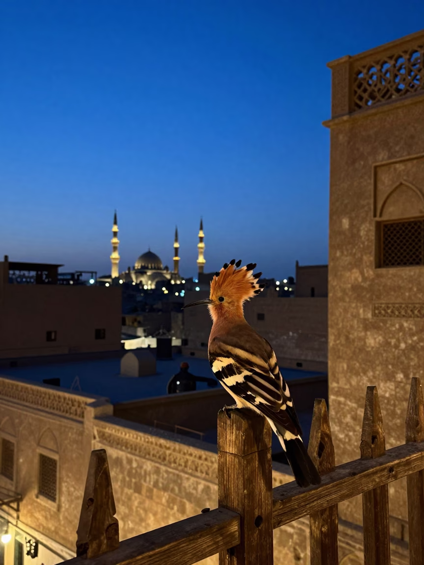 Cairo Egypt Twilight Street Scene with Hoopoe Bird and Traditional Tea Service in in Cairo, Egypt