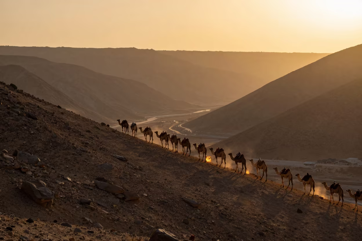 Camel Caravan Crossing Alpine Saddle at Sunset in in Saudi Arabia