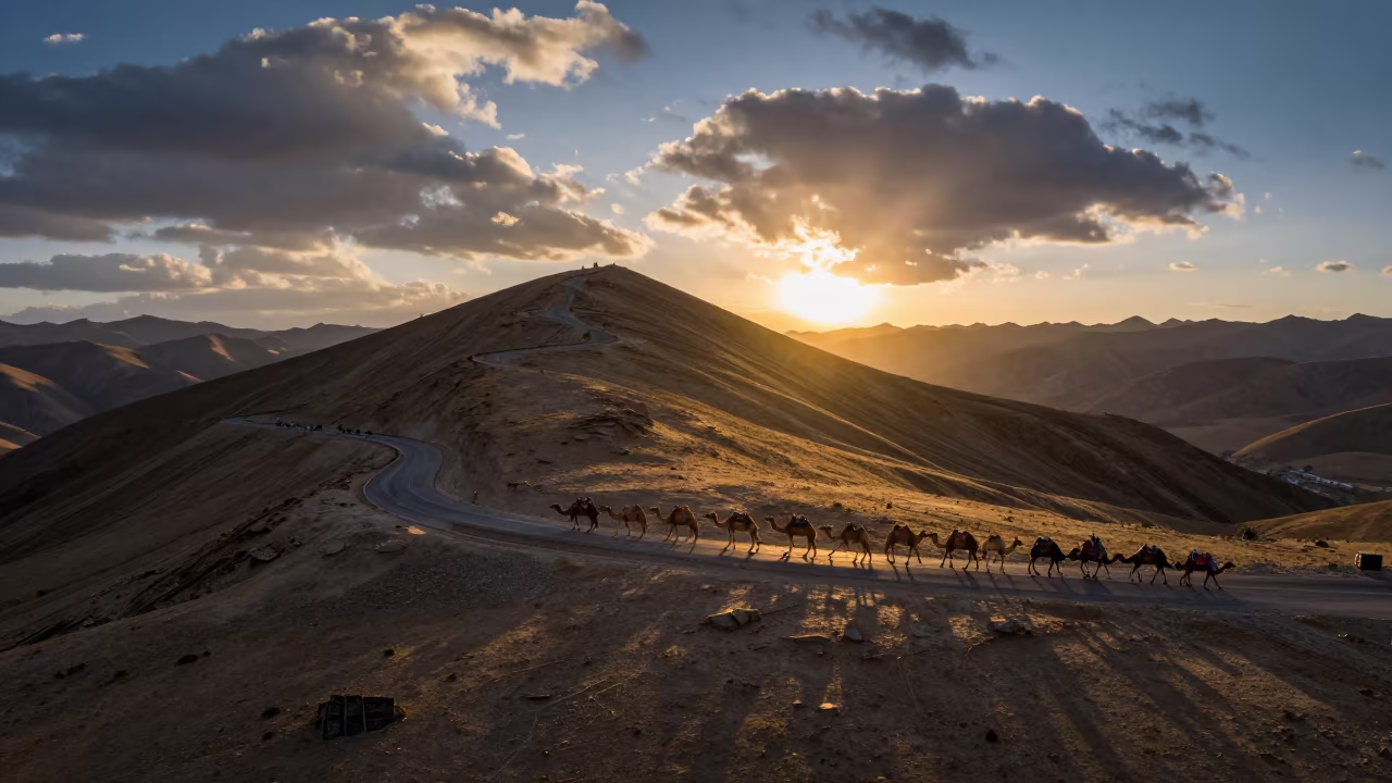 Camel Caravan on Rajasthan Alpine Saddle Sunset in along a switchback approach in Rajasthan
