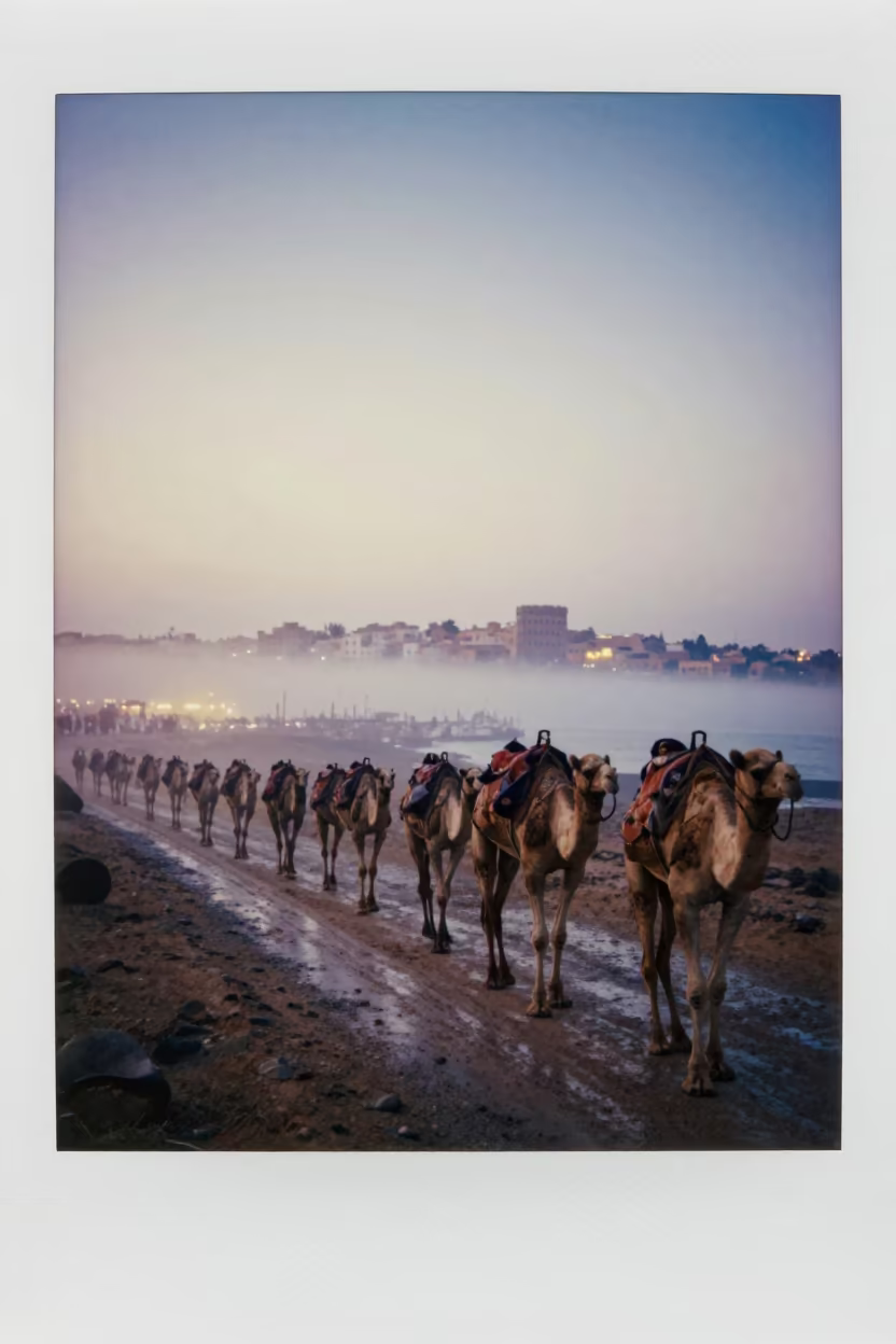 Camel Caravan Twilight Fog Harbor Marrakech in beside a fogbound harbor mouth near Souks, Marrakech