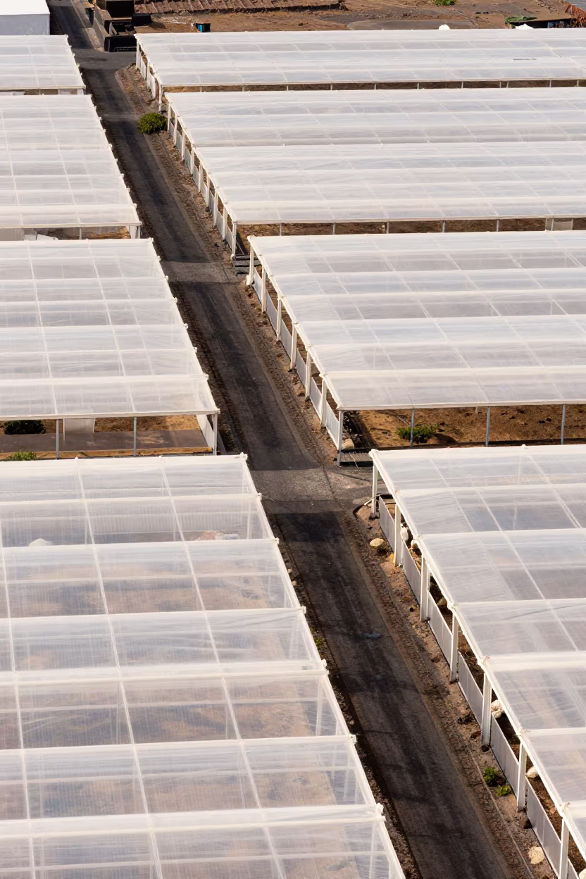 Canary Island Lanes Through Greenhouse Grids in high over greenhouse grids in the Canary Islands
