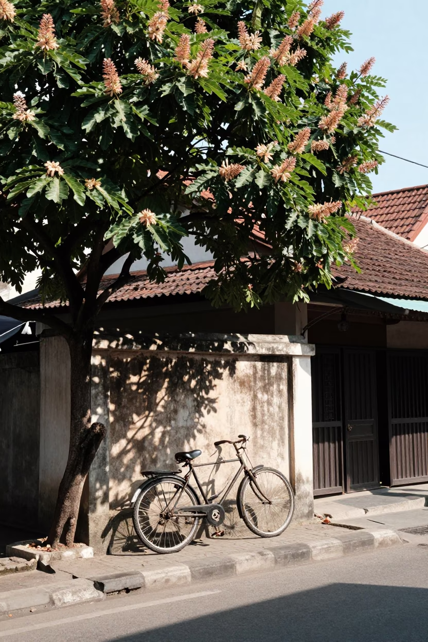Candid Street Scene in Yogyakarta Indonesia with Bicycle and Chestnut Tree in in Yogyakarta, Indonesia