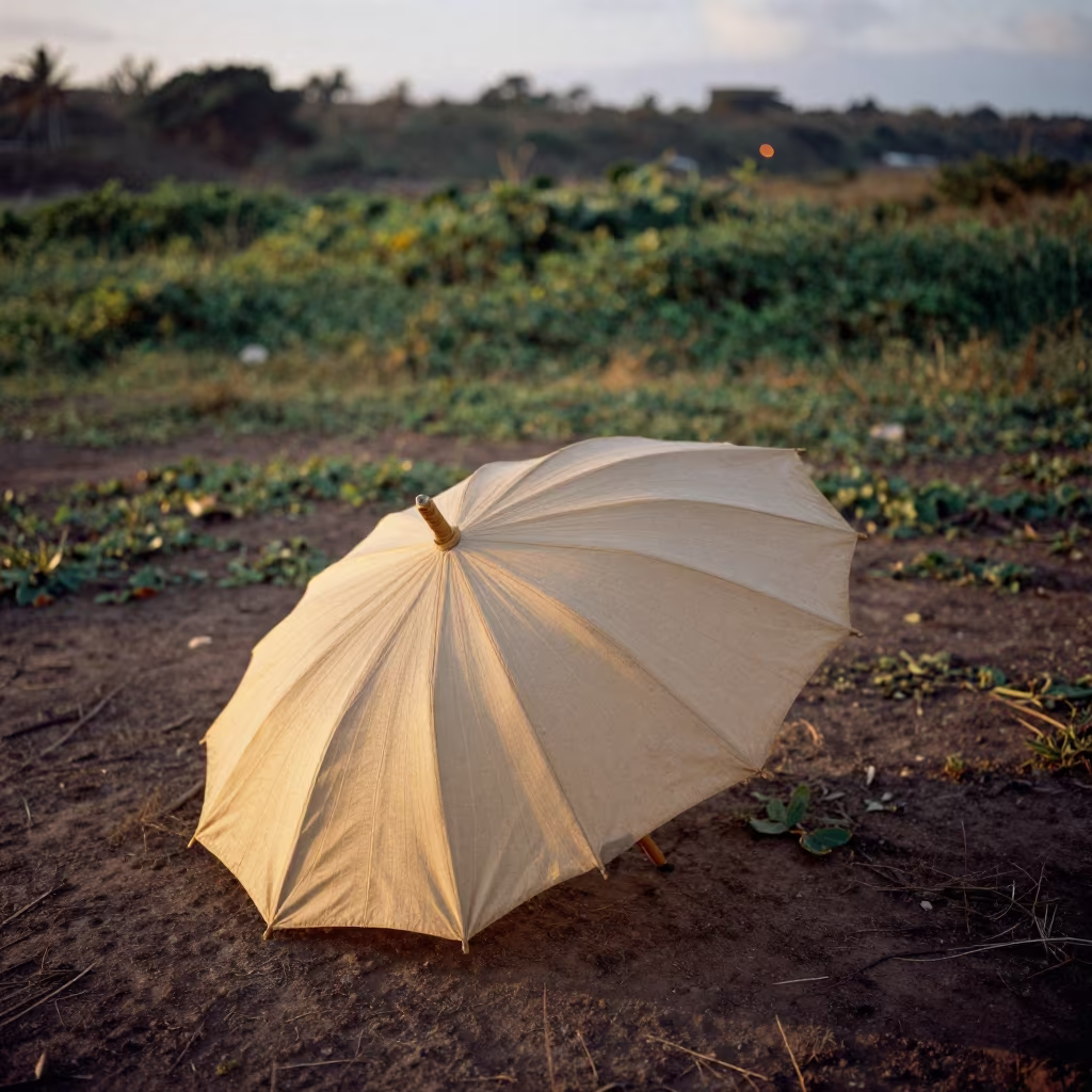 Carved Bamboo Parasol at Golden Hour Near Maputo in near Maputo