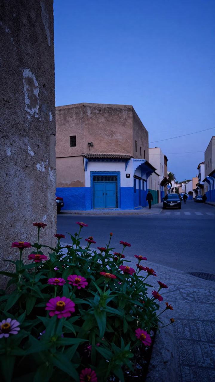 Casablanca Morocco Indigo Twilight Street Scene with Zinnias and Concrete Architecture in in Casablanca, Morocco