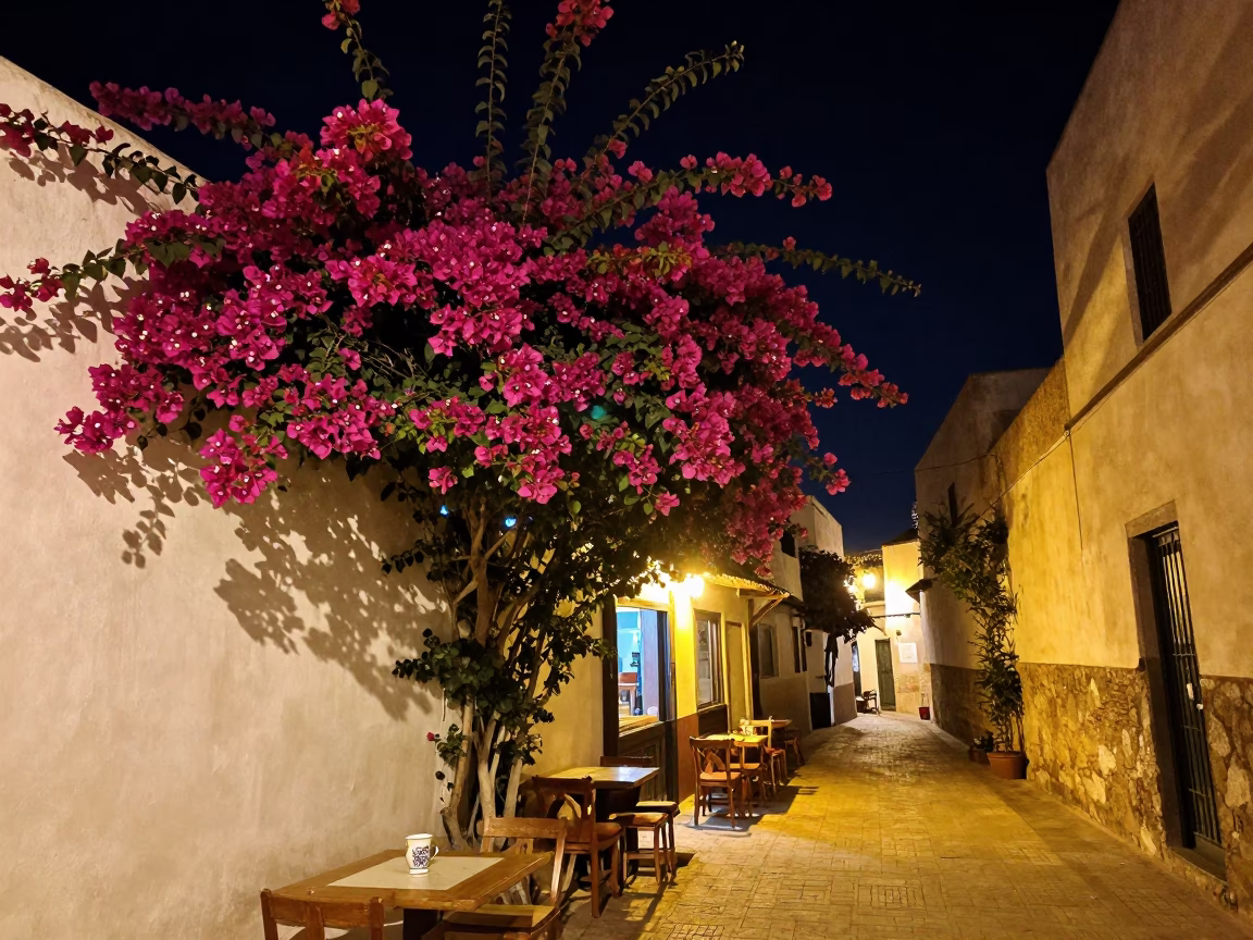Casablanca Morocco Night Street Scene with Bougainvillea and Ceramic Cup in in Casablanca, Morocco