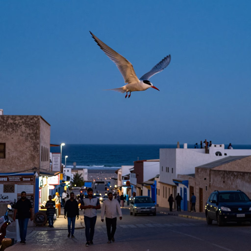 Casablanca Morocco twilight street scene with tern and local activity in in Casablanca, Morocco