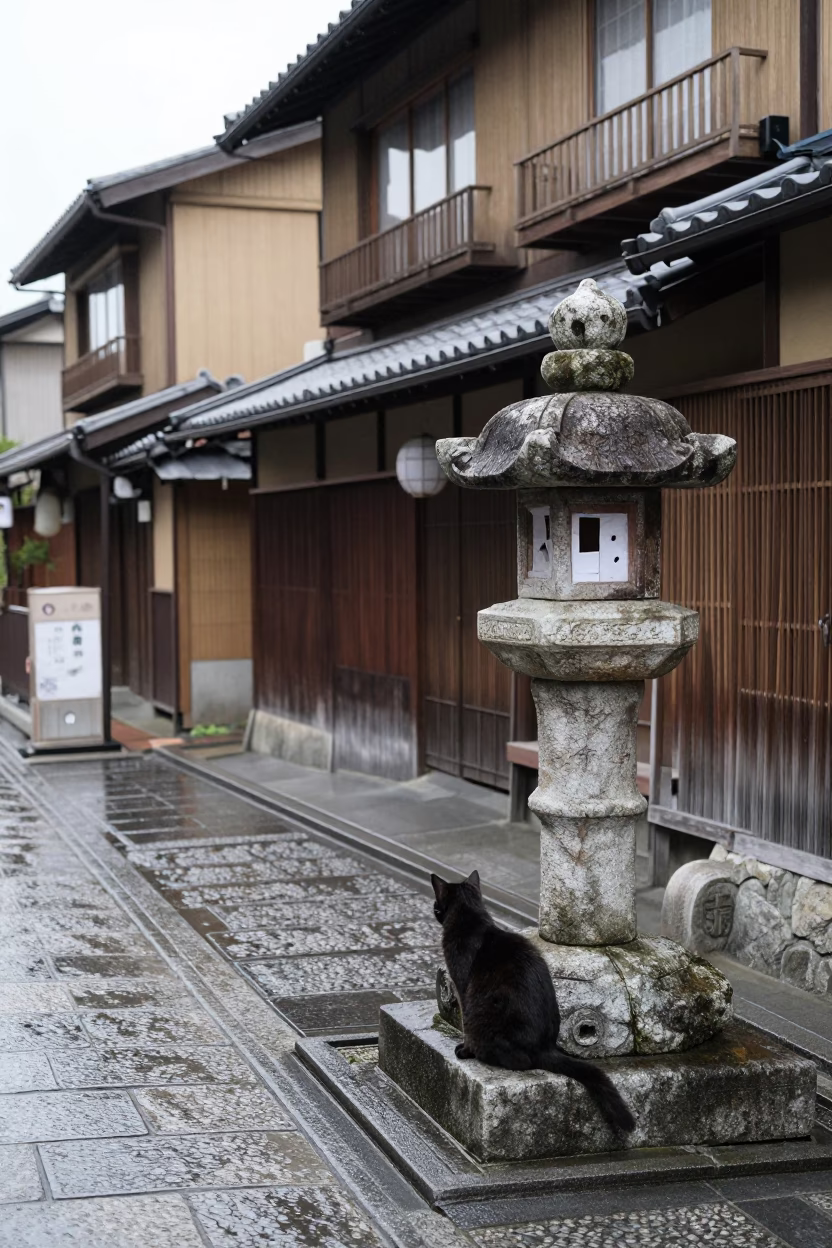 Cat at Midday Light in in Kyoto, Japan
