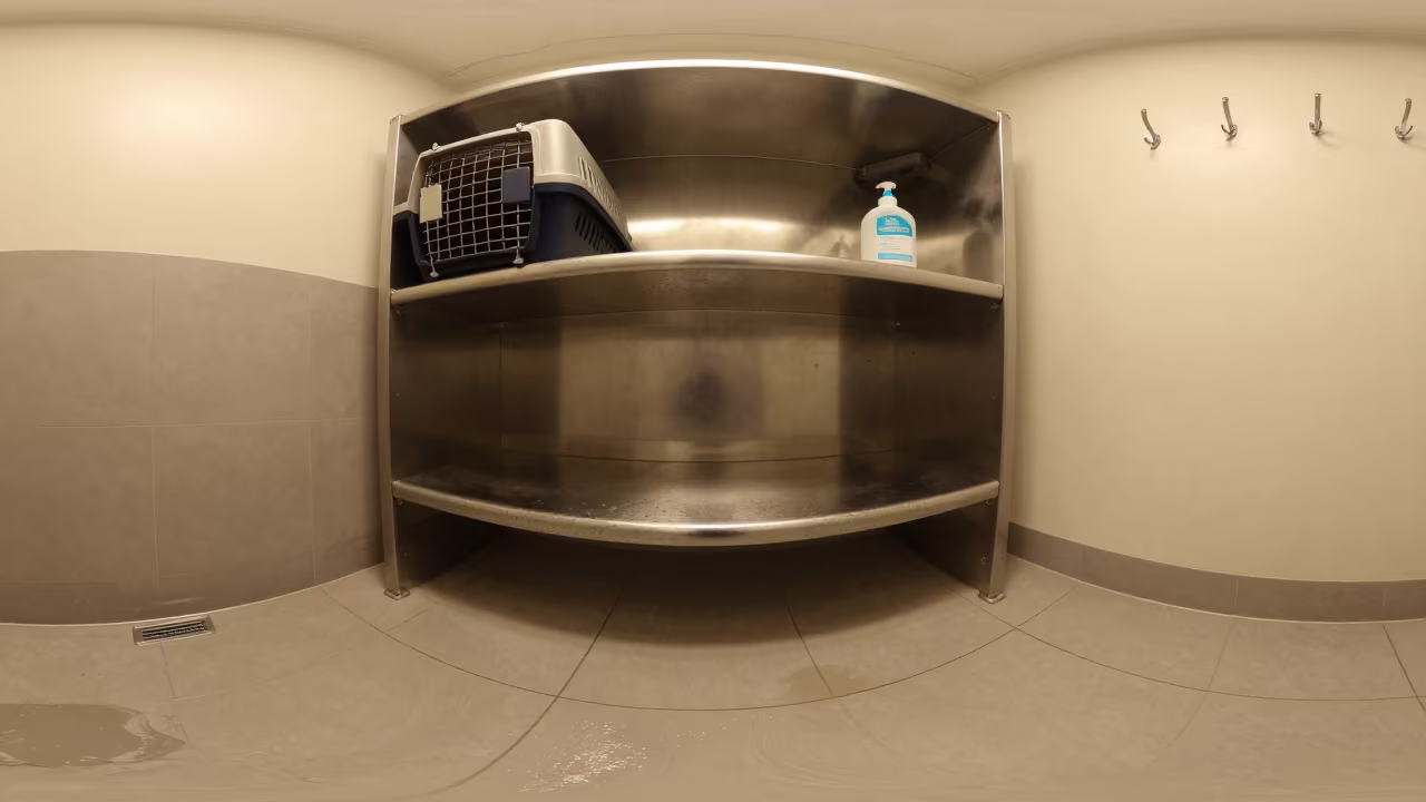 Cat Carrier Shelf at Dog Wash Station in at a self-serve dog wash station near Adelaide