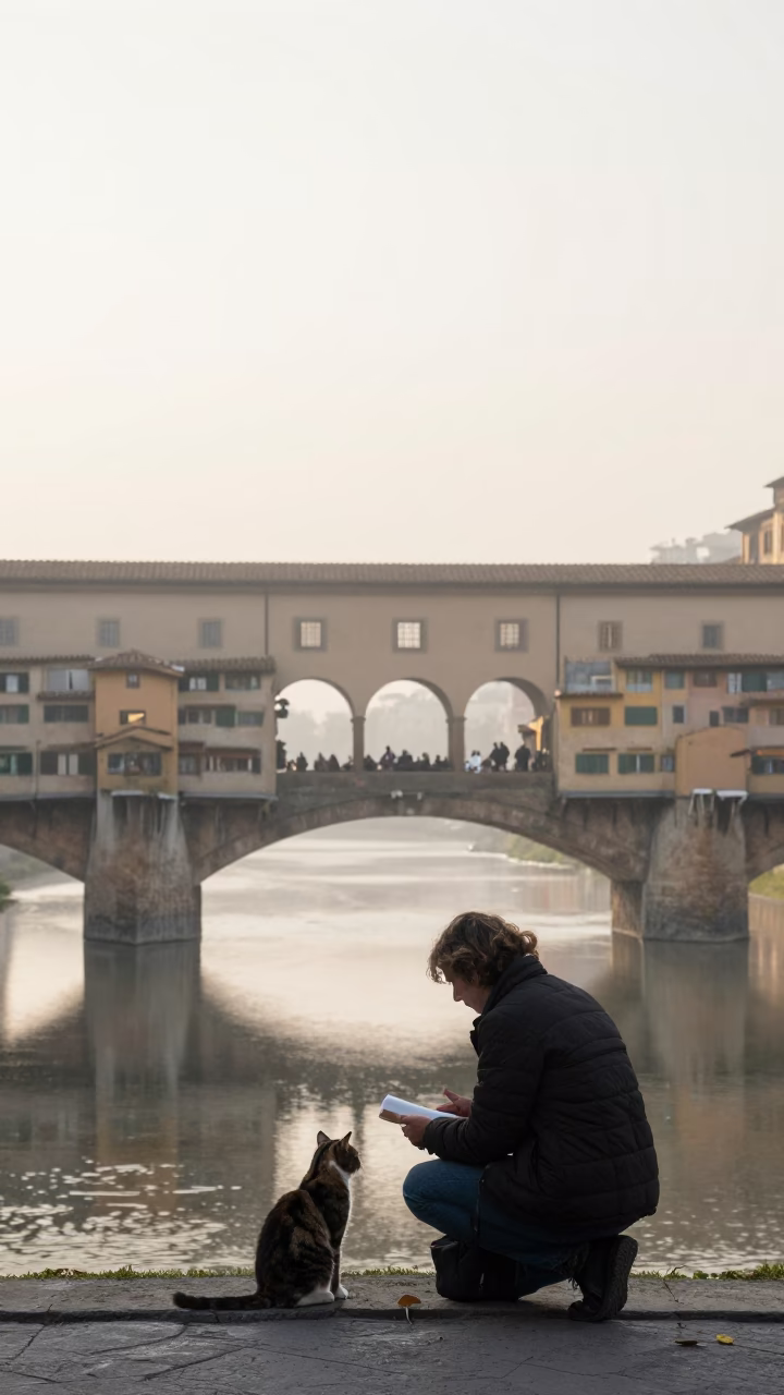 Cat in Florence at Dawn Light in in Florence, Italy